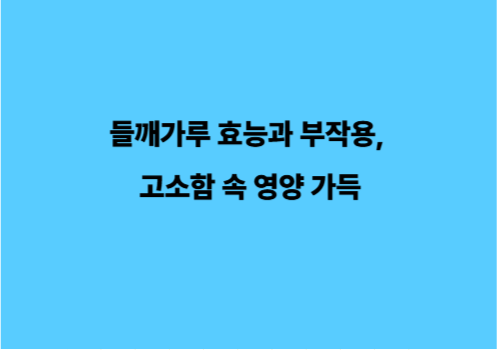 들깨가루 효능과 부작용, 고소함 속 영양 가득