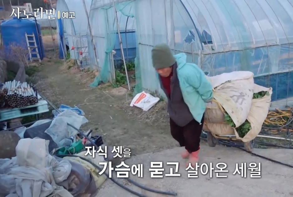 춘화엄마-금요일의아들-여수갓김치