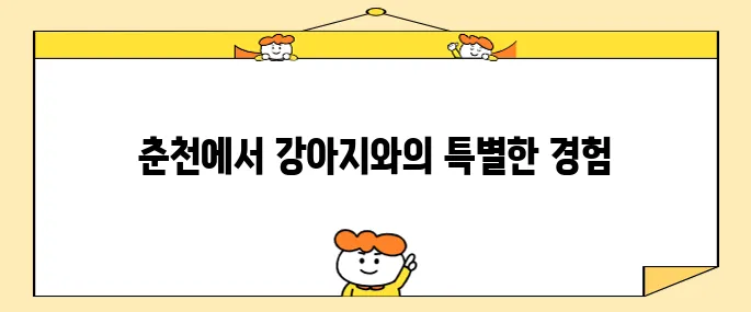 강원도 여행 강아지와 함께하는 춘천의 헤이 춘천 펫룸에서 특별한 시간을 가져보세요