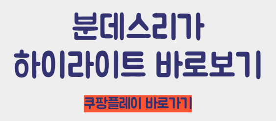 분데스리가 하이라이트 바로가기