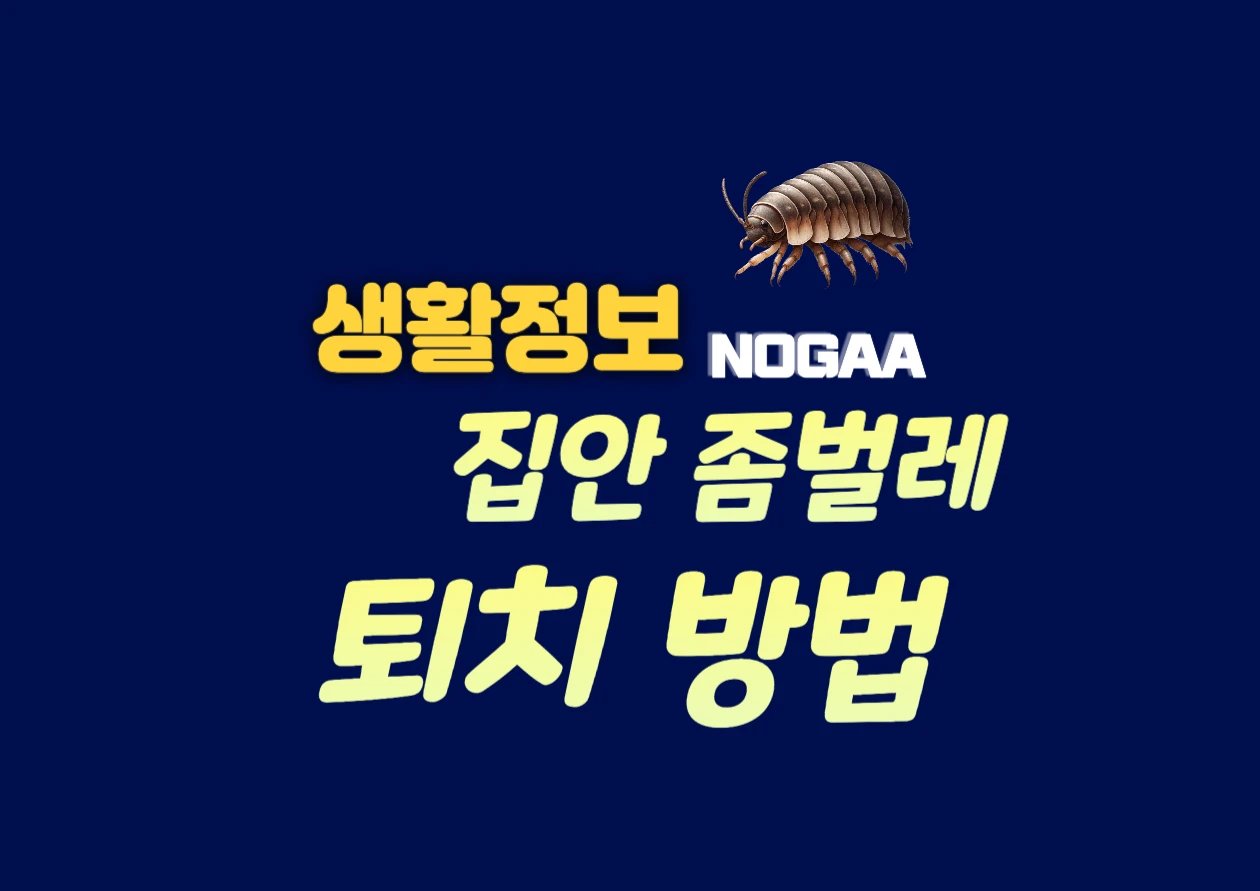 좀벌레 퇴치법