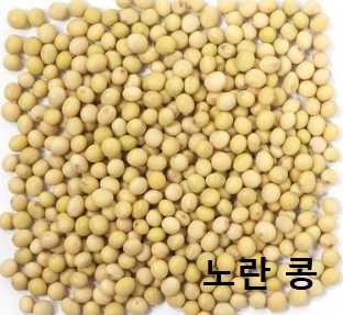 크론병 증상