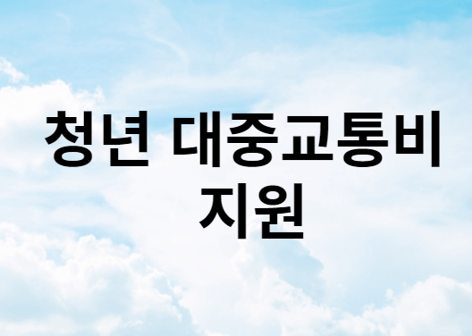 청년 대중교통비 지원 사업
