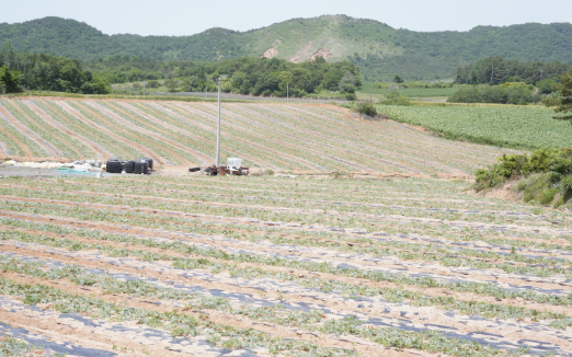 맹지 투자전 리스크. 해결. 체크포인트 총정리