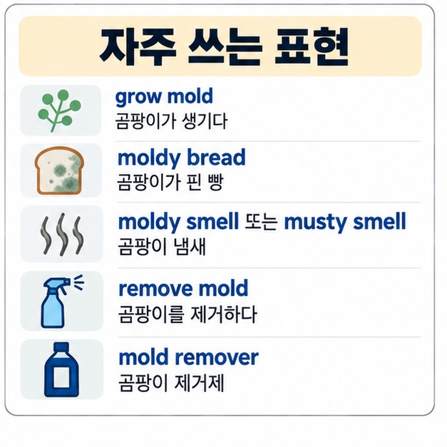 grow mold moldy bread moldy smell remove mold mold remover 표현을 정리한 영어 학습 이미지