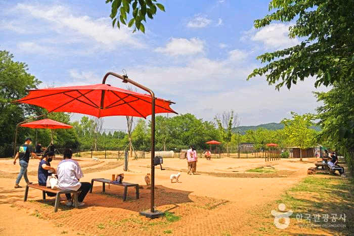 반려견 놀이터 내 빨간 파라솔 아래 두 사람이 앉아있다.