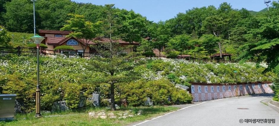 진안 가볼만한곳 베스트10