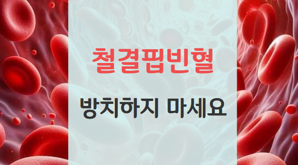 피검사 결과 철결핍빈혈, 진단결과와 의사 처방