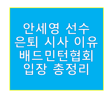 안세영 은퇴