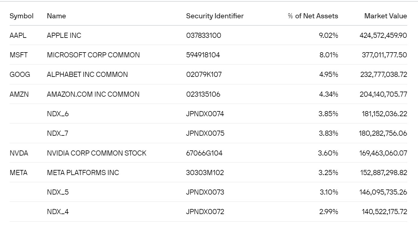 JEPQ TOP10 Holdings