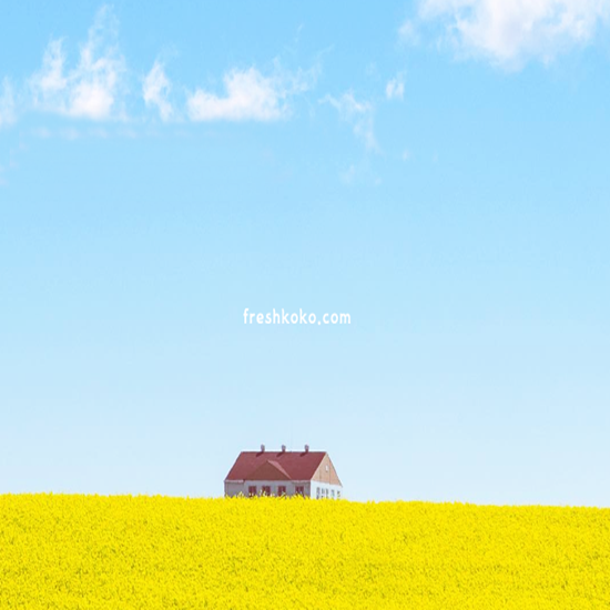 안성 가볼만한곳 베스트10