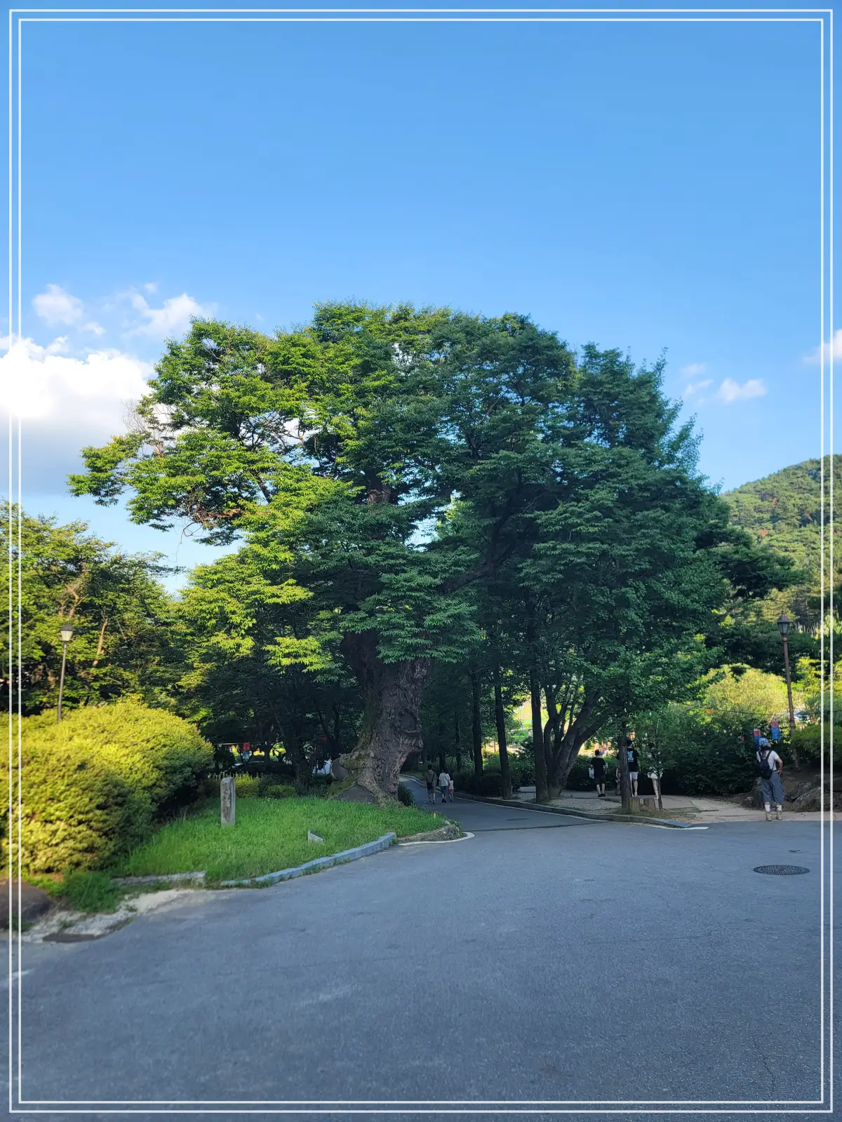 봉선사-연꽃축제-20250810_174812