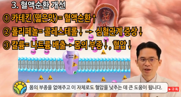 감태 효능과 조리법