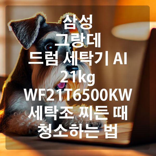 삼성 그랑데 드럼 세탁기 AI 21kg WF21T6500KW 세탁조 찌든 때 청소하는 법