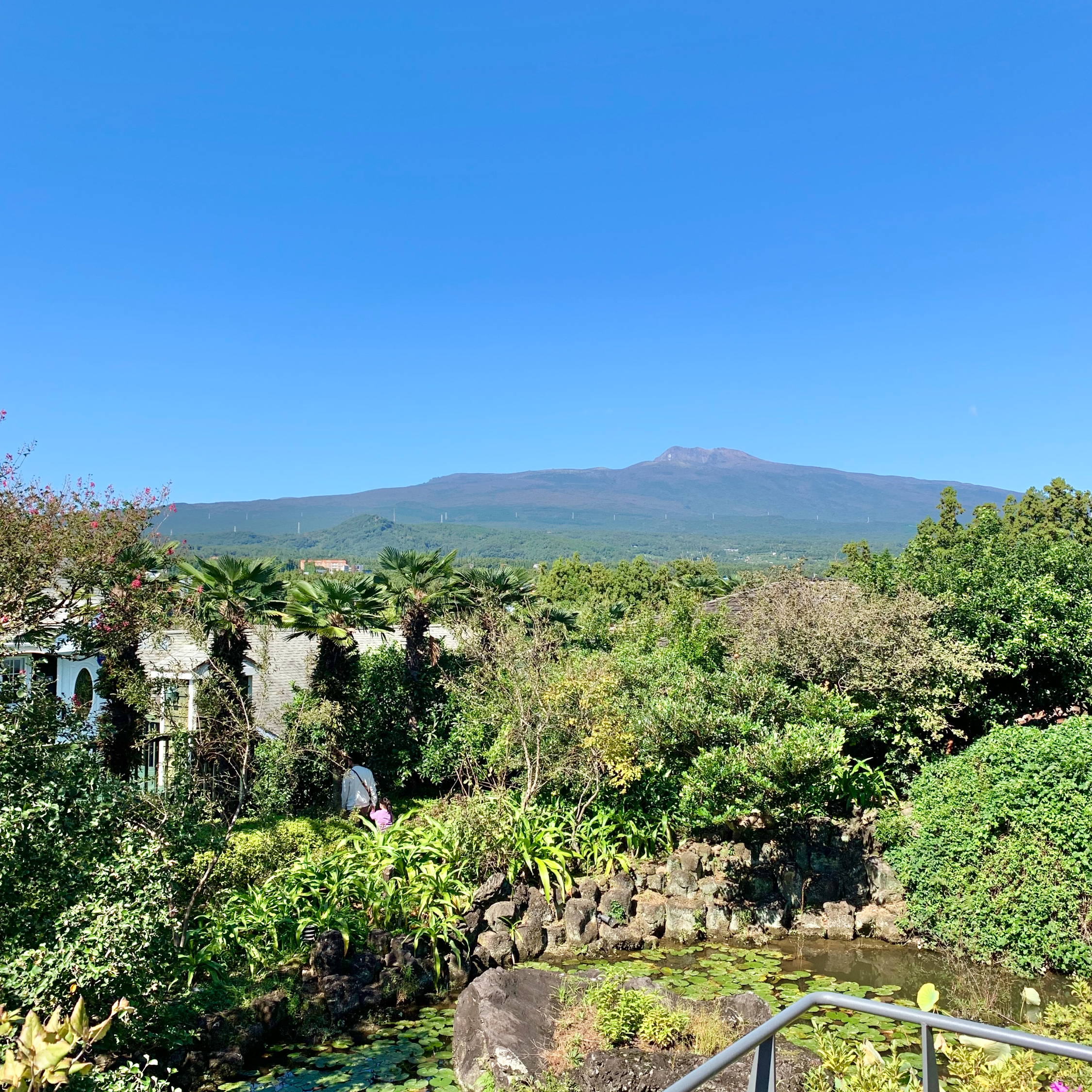 제주도 한라산뷰