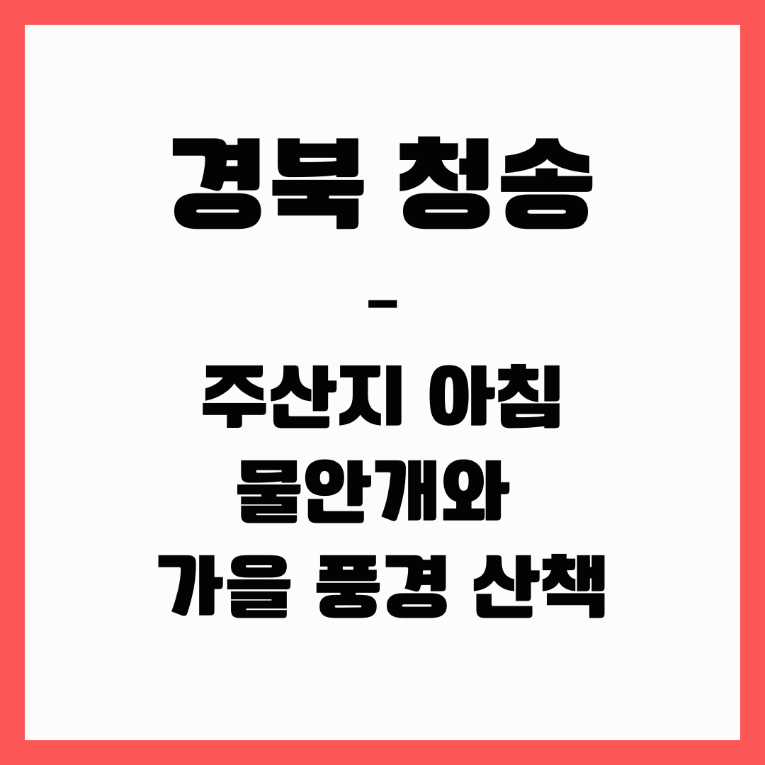 경북 여행 - 청송(주산지)