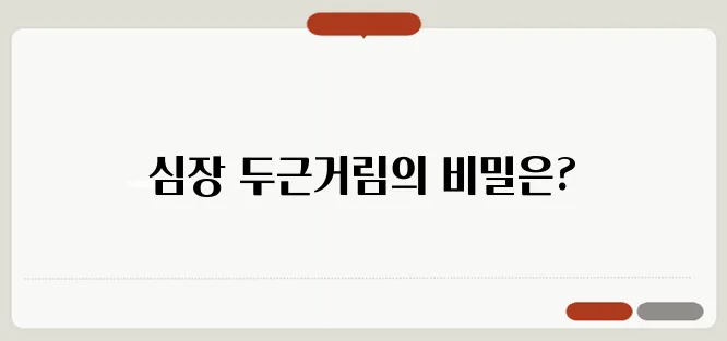 누우면 심장이 두근거리는 이유와 해결법