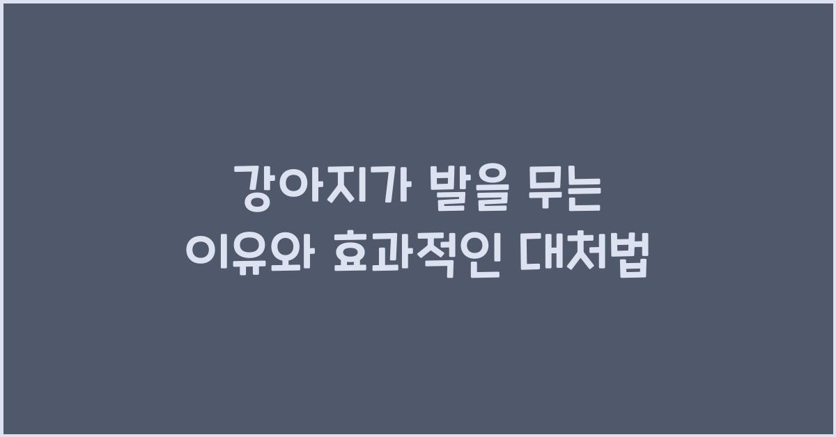 강아지가 발을 무는 이유