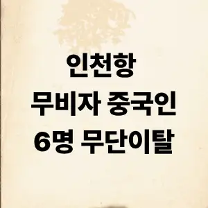 무비자 중국인 무단 이탈