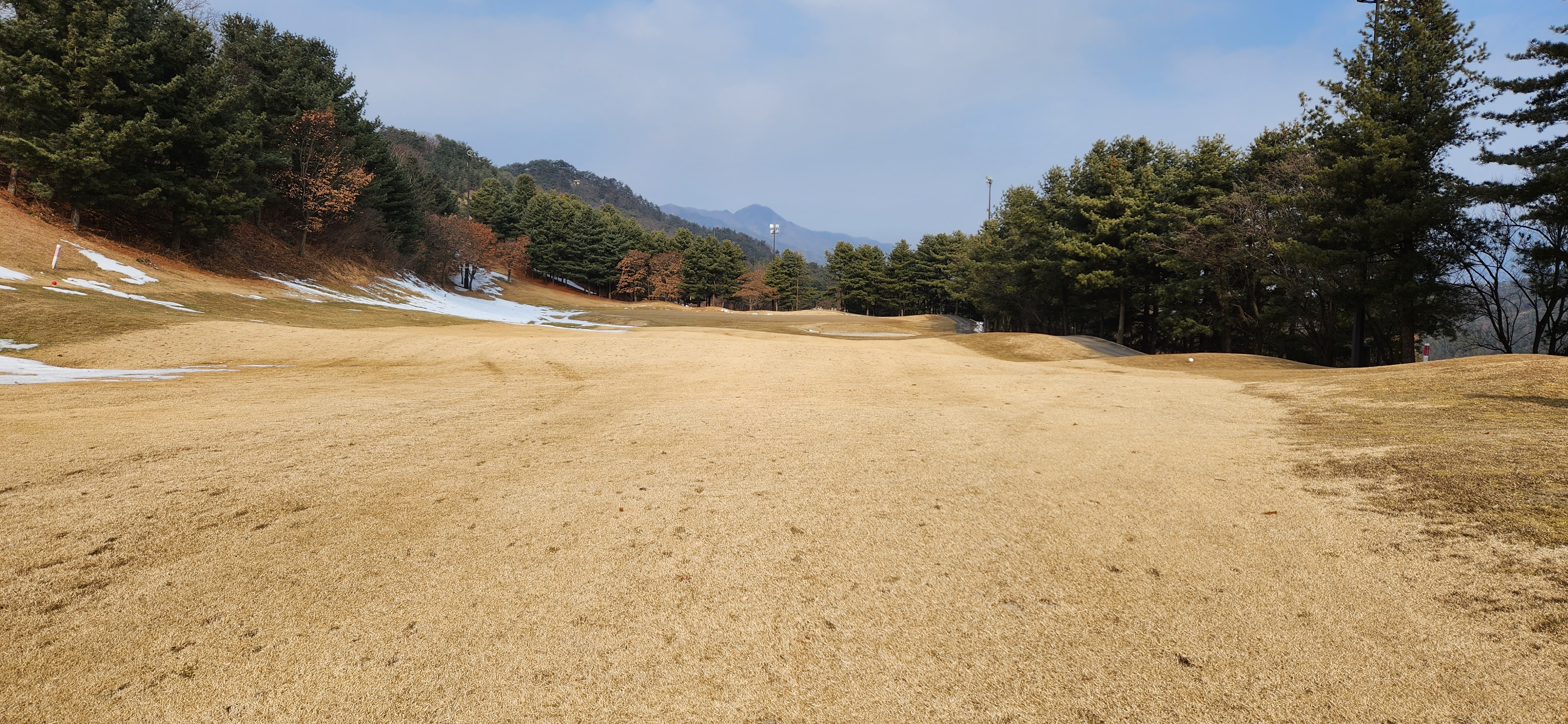필로스cc