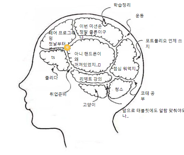 뇌구조