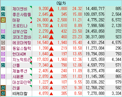 8월12일 상승종목