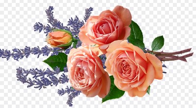 졸업식에서 눈물나는 감동 이야기