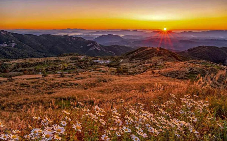 포천 명성산 억새밭 산행 가이드
