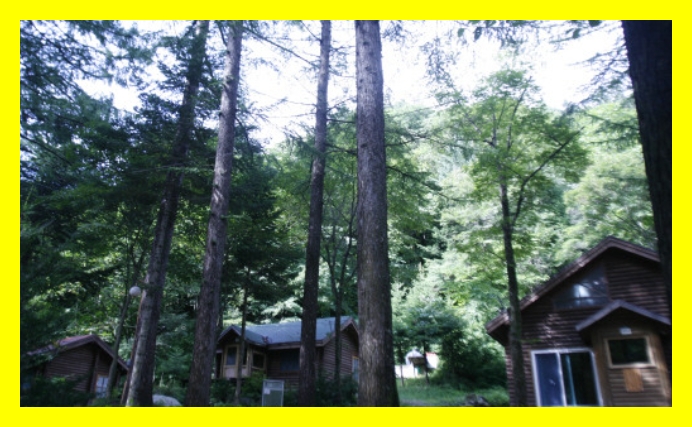 국립자연휴양림 교통편&amp;#44; 국립자연휴양림 예약팁&amp;#44; 자연휴양림 짐꾸리기&amp;#44; 가족휴가 자연휴양림&amp;#44; 휴가 숙소 예약법&amp;#44; 국립휴양림 예약 경쟁률