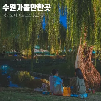 수원 가볼만한곳 추천 맛집 카페 아기랑 숨은 명소_5