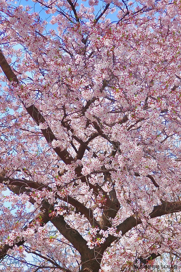 안양 가볼만한곳 베스트10