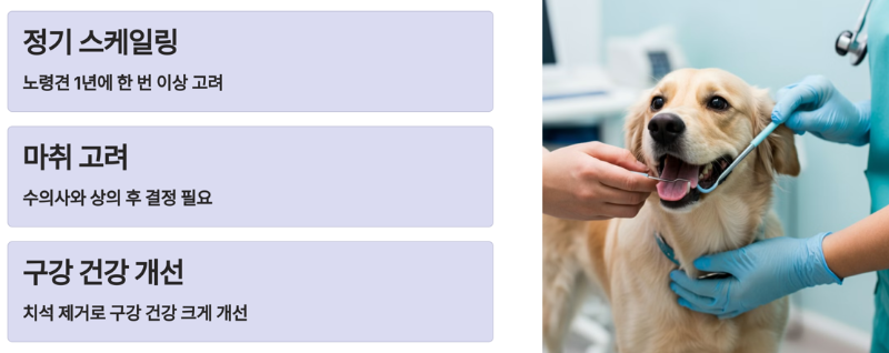 스케일링의 중요성