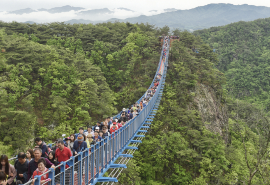 반계리 은행나무 주차장 (+ 실시간 CCTV)