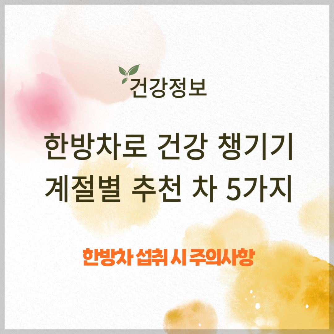 한방차로 건강 챙기기 ❘ 계절별 추천 차 5가지
