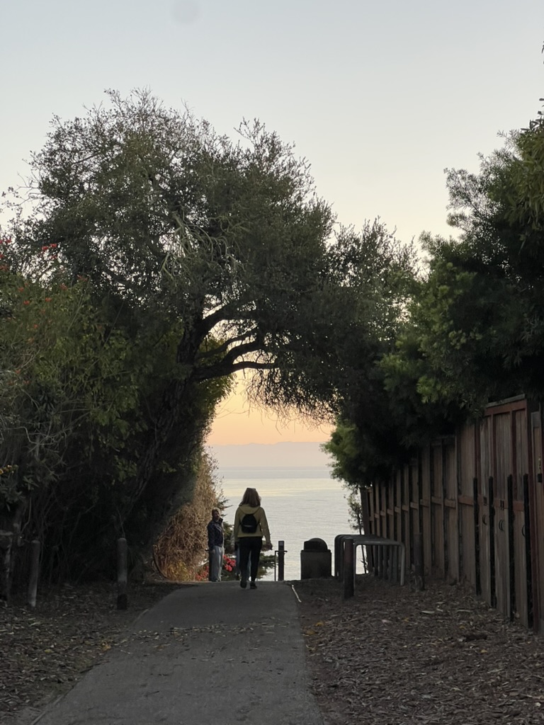 메사 레인 계단3