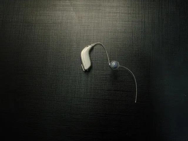 보청기-1개의-사진