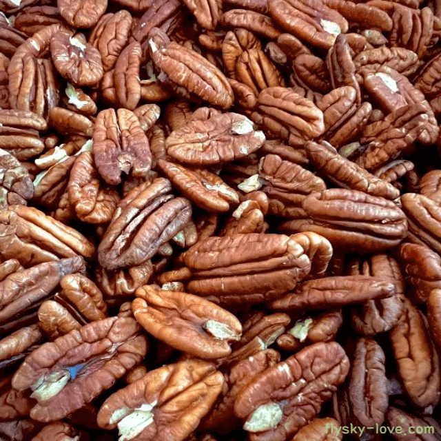 견과류의 여왕 피칸