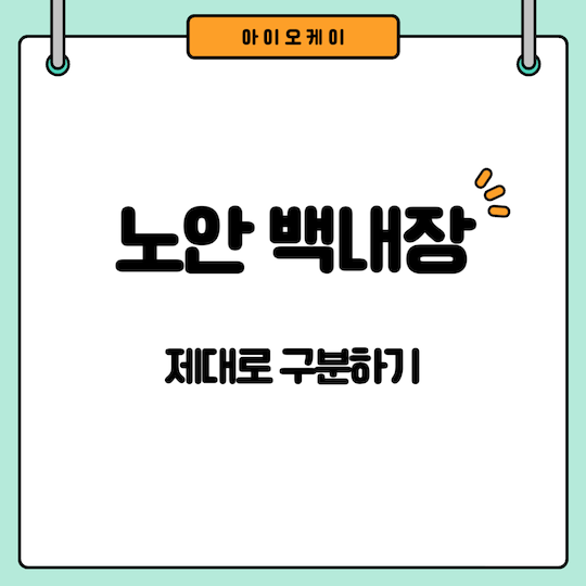 노안-백내장-구분