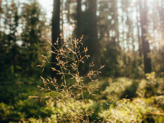 어스아워란? 어스 아워 뜻 유래 참여 방법 알아보기