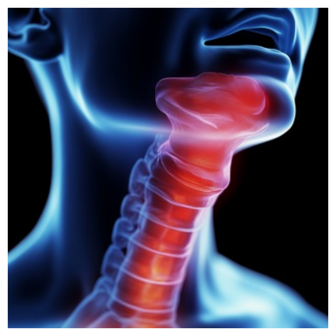 갑상선 기능 항진증과 관련된 사진입니다.