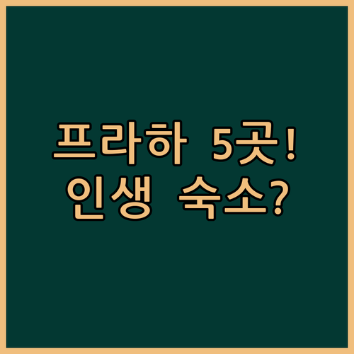 프라하 호텔 5곳 위치 조식 후기 비..