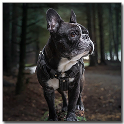 ๊ฒ์์ ํ๋ ์น ๋ถ๋