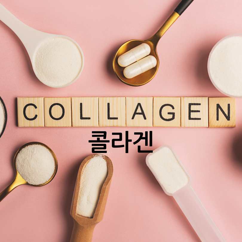 갱년기여성필수영양제