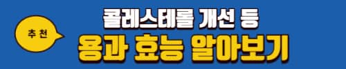 참외 칼로리