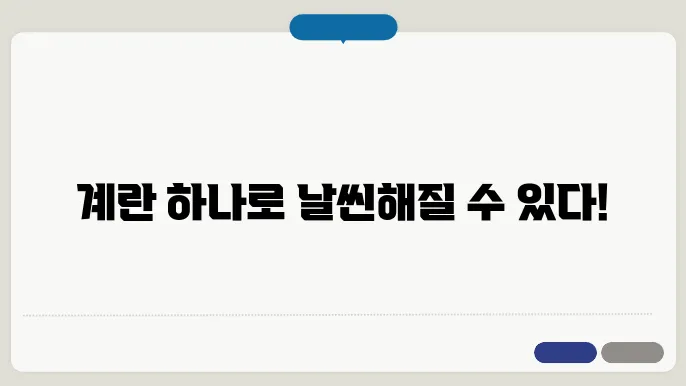 다이어트에 효과적인 주요 성분과 다양한 효능