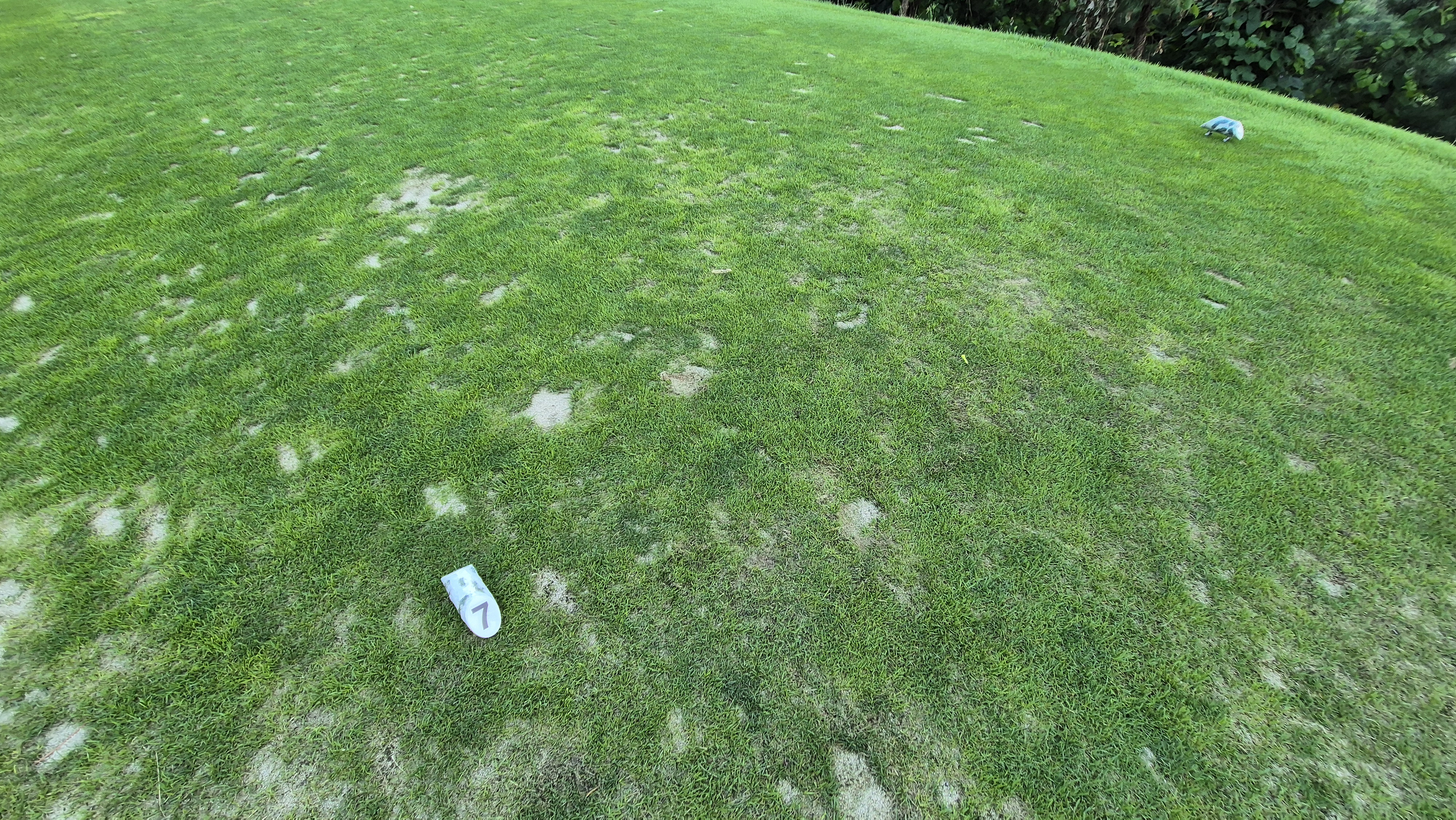 세일cc 들길-산길 코스 라운드 후기