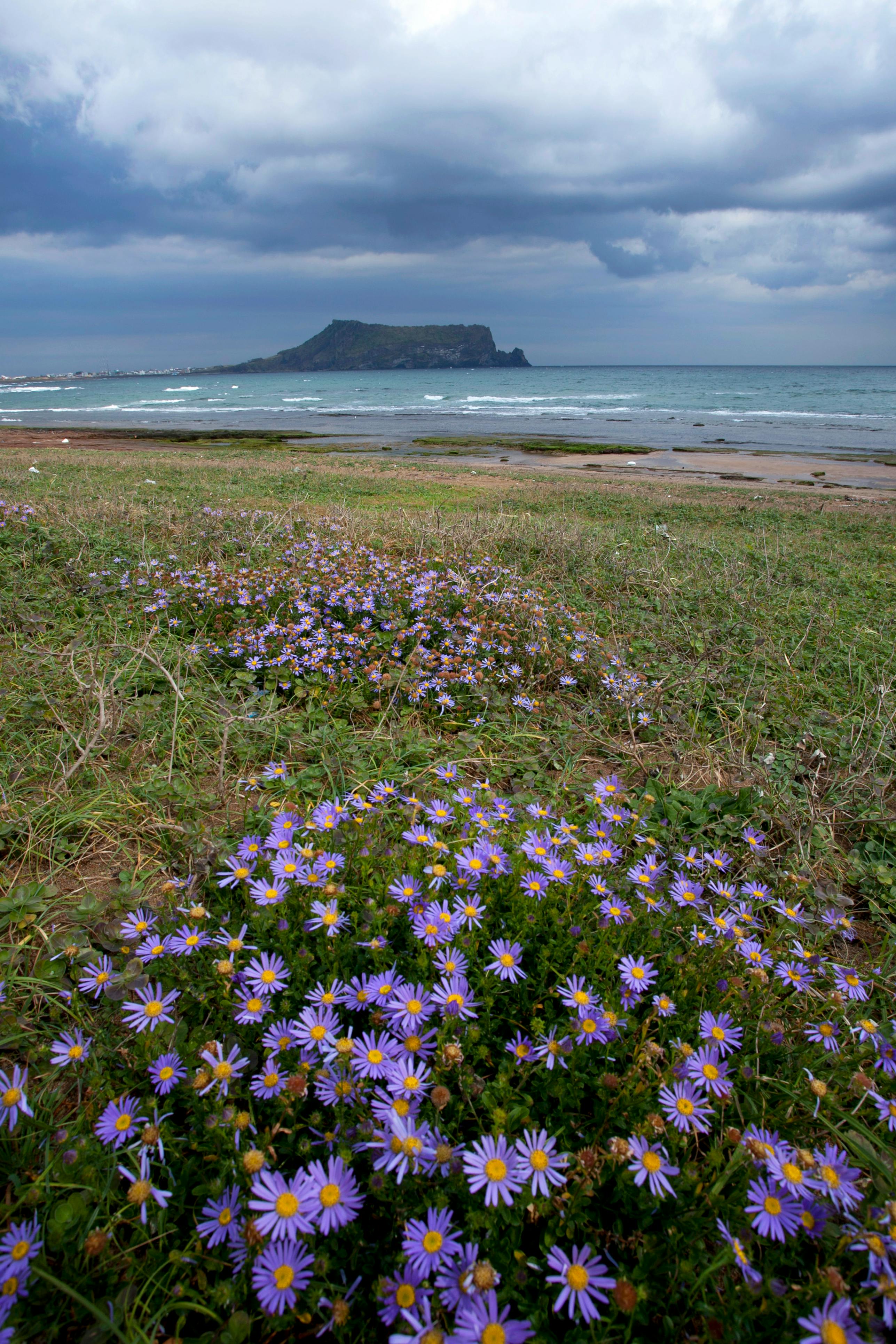 아름다운 바다 넘어 성산 일출봉