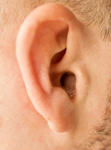 보청기 착용법&amp;#44; 처음부터 끝까지 완벽하게 배우는 방법