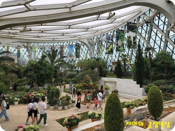 온실 안의 나무들과 사람들