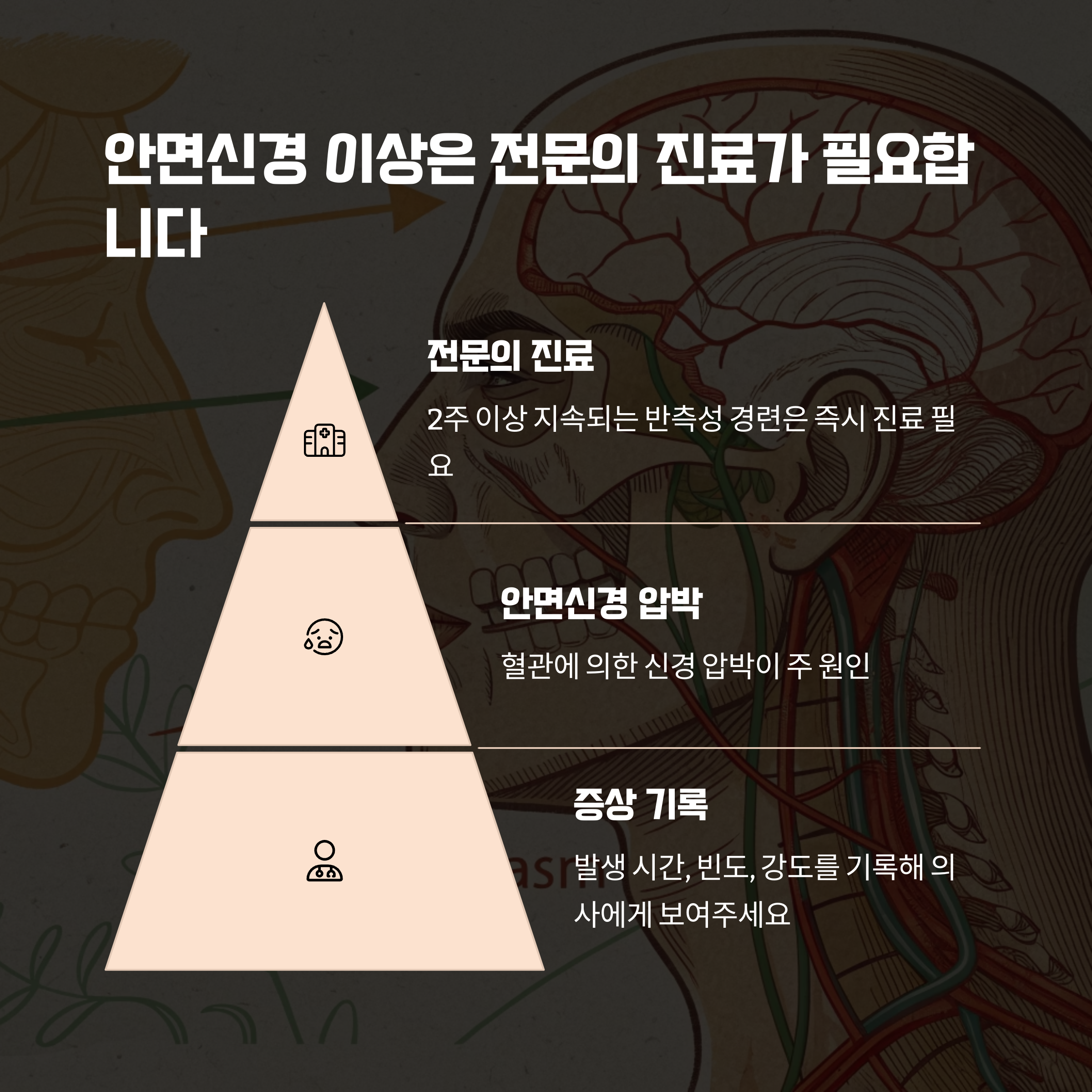안면신경 이상
